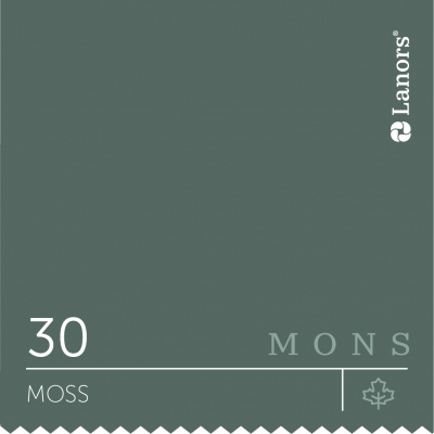 Краска Lanors Mons цвет Moss 30 Мох