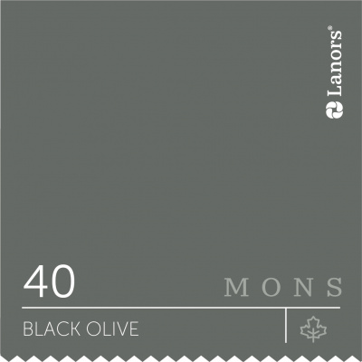 Краска Lanors Mons цвет Black olive 40 Маслина