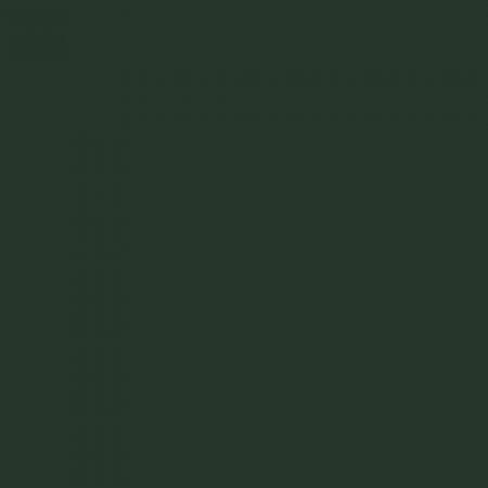 Краска Charmant цвет RAL Fir green 6009 Sommet 0.9 л