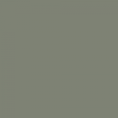 Краска Charmant цвет RAL Cement grey 7033 Sommet 0.9 л
