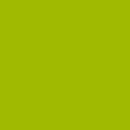 Краска Little Greene цвет NCS S 1075-G50Y
