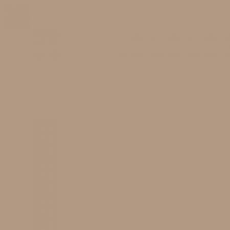Краска Swiss Lake цвет Cappuccino NC23-0393
