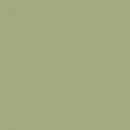Краска Little Greene цвет NCS S 3020-G50Y