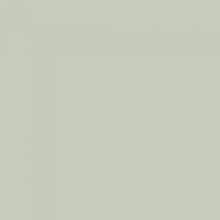Краска Swiss Lake цвет Dry Mint SL-2624