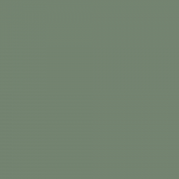 Краска Charmant цвет Green Tourmaline NC36-0785 Sommet 0.9 л