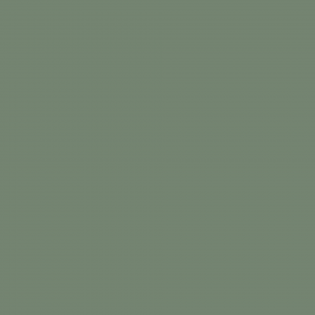 Краска Charmant цвет Green Tourmaline NC36-0785 Sommet 0.9 л