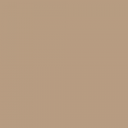 Краска Charmant цвет Cinnamon Stick NC21-0352 Sommet 0.9 л