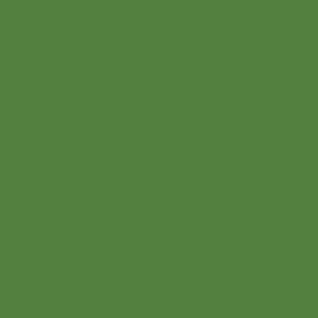 Краска Little Greene цвет May green RAL 6017