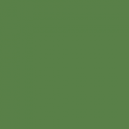 Краска Little Greene цвет NCS S 4040-G30Y