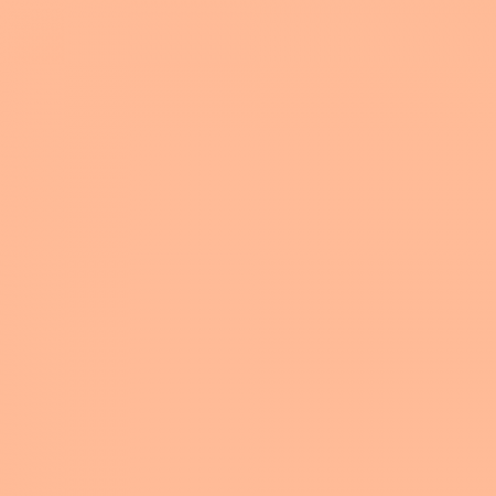 Краска Little Greene цвет NCS S 0530-Y60R