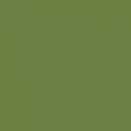 Краска Little Greene цвет NCS S 4040-G40Y