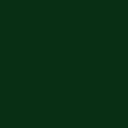 Краска Little Greene цвет Dark Brunswich Green 88