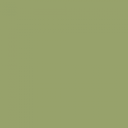 Краска Little Greene цвет NCS S 3030-G50Y