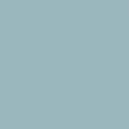 Краска Swiss Lake цвет Frosty Wind SL-2279
