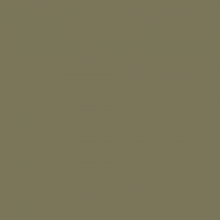 Краска Charmant цвет RAL Reed green 6013 Sommet 0.9 л