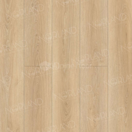 Виниловый пол Norland клеевой Sigrid LVT 1003-6 Eli