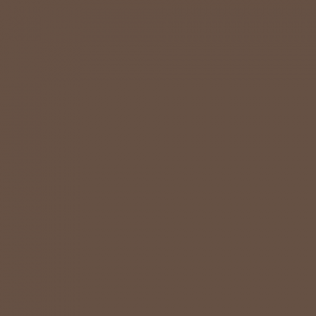 Краска Swiss Lake цвет Adamant Brown SL-0757