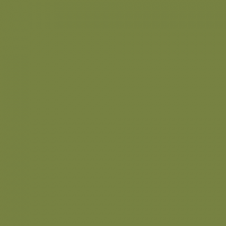 Краска Little Greene цвет NCS S 4040-G50Y