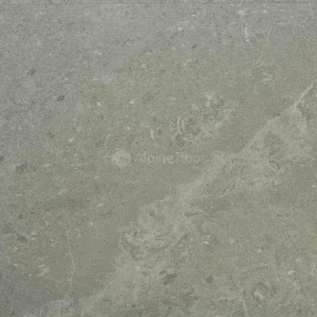 Alpine floor ЕСО 2004-14 Блайд