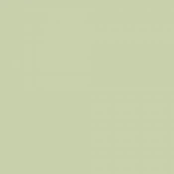 Краска Charmant цвет Juicy Greens NC37-0818 Sommet 0.9 л