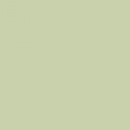 Краска Charmant цвет Juicy Greens NC37-0818 Sommet 0.9 л