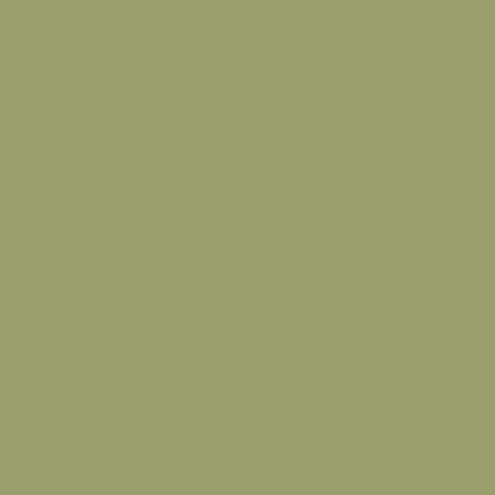 Краска Swiss Lake цвет Cactus SL-2554