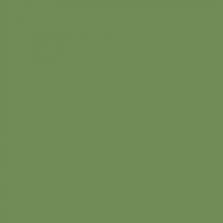 Краска Little Greene цвет Light Brunswick Green