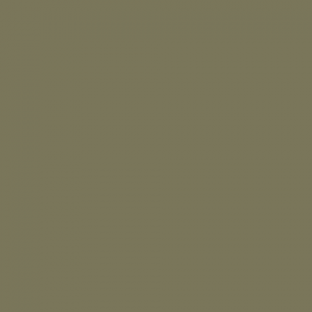 Краска Swiss Lake цвет Reed green RAL 6013