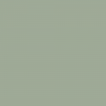 Краска Charmant цвет Green Jasper NC36-0787 Sommet 0.9 л