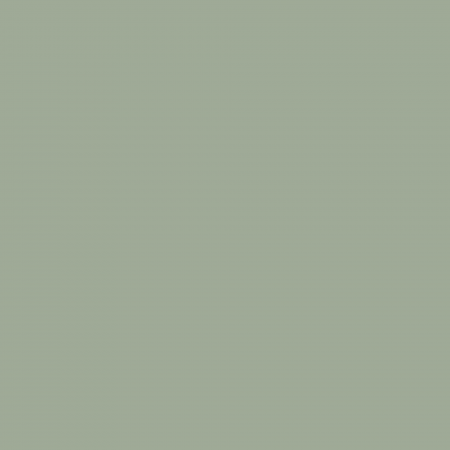 Краска Charmant цвет Green Jasper NC36-0787 Sommet 0.9 л