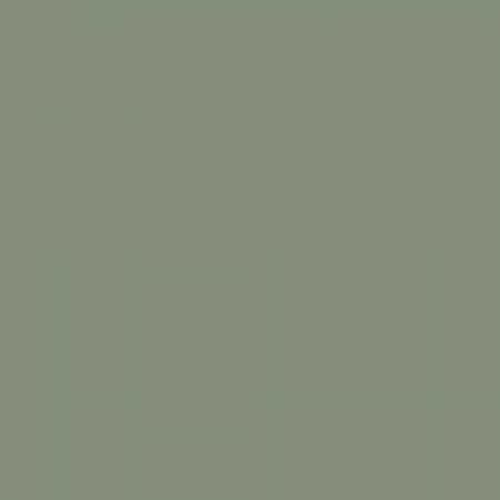 Краска Hygge цвет Aloe Tip HG03-046 Fleurs 0.4 л
