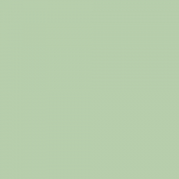 Краска Charmant цвет RAL Pastel green 6019 Sommet 0.9 л