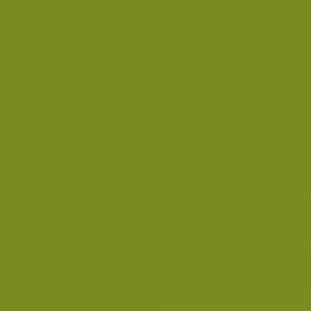 Краска Little Greene цвет NCS S 3060-G50Y