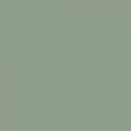 Краска Swiss Lake цвет Green Zircon NC36-0793
