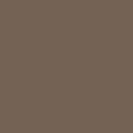 Краска Swiss Lake цвет Ash Brown NC25-0459