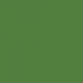 Краска Charmant цвет RAL May green 6017 Sommet 0.9 л