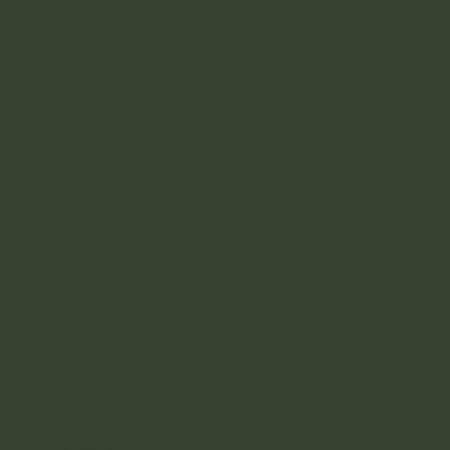 Краска Little Greene цвет Chrome green RAL 6020