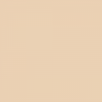 Краска Hygge цвет Honey Beige HG03-025 Fleurs 0.4 л