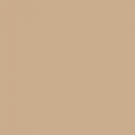 Краска Charmant цвет Bronze Sand NC21-0345 Sommet 0.9 л