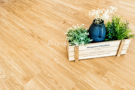 SPC ламинат Alpine Floor Sequoia ECO 6-4 Секвойя Royal