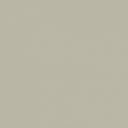 Краска Zoffany цвет Dove