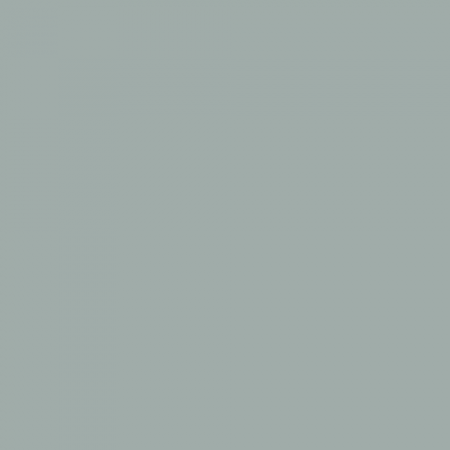 Краска Little Greene цвет NCS S 3005-B80G