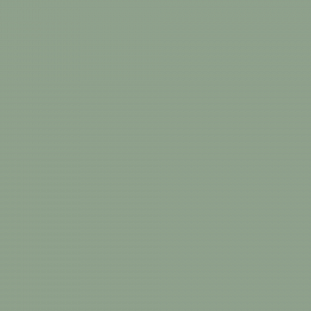 Краска Charmant цвет Jadeite NC36-0795 Sommet 0.9 л