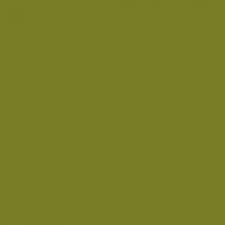 Краска Little Greene цвет NCS S 4050-G60Y