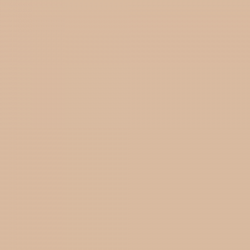 Краска Charmant цвет Cookie Dough NC19-0292 Sommet 0.9 л