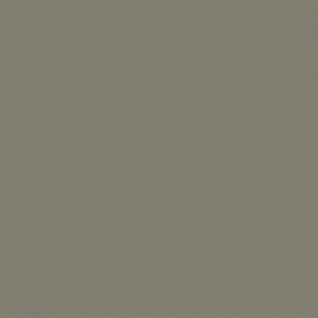 Краска Swiss Lake цвет Dark Olive NC38-0867