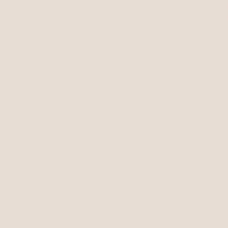 Краска Swiss Lake цвет Practical Beige SL-0369