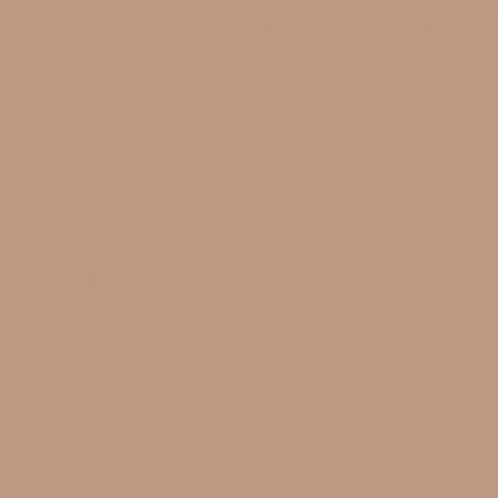 Краска Swiss Lake цвет Terracotta NC19-0300