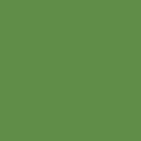 Краска Little Greene цвет NCS S 3050-G30Y