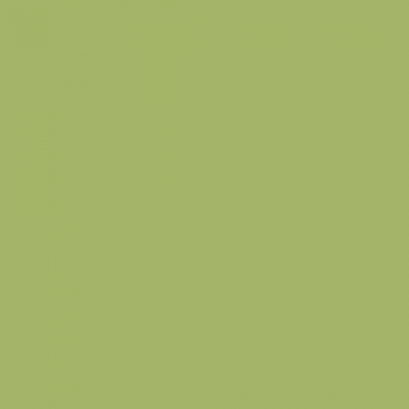 Краска Little Greene цвет NCS S 2040-G50Y